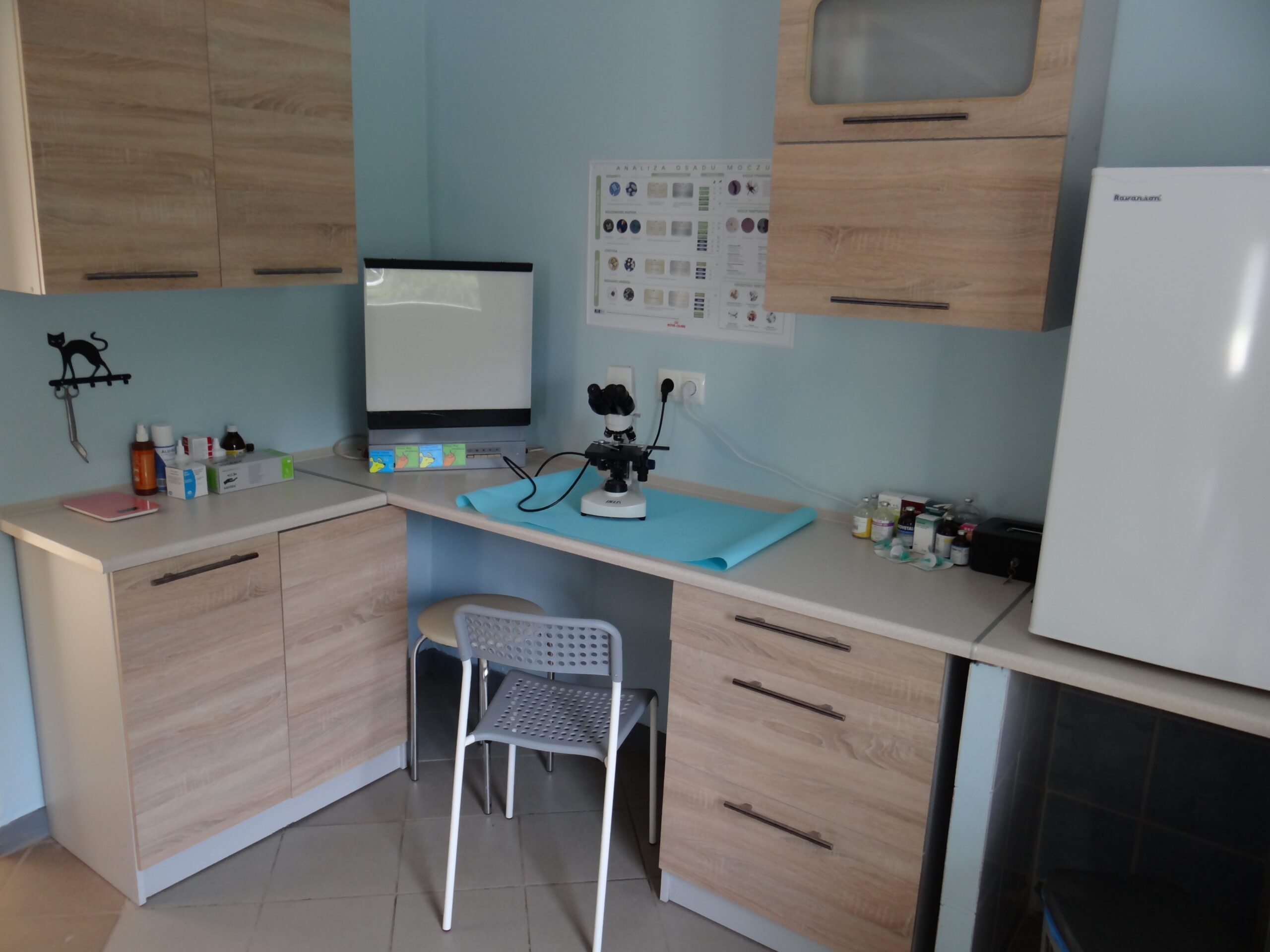 gabinet-diagnostyczny8DDF0FCD-39F2-3085-5FB5-FD085265FFEB